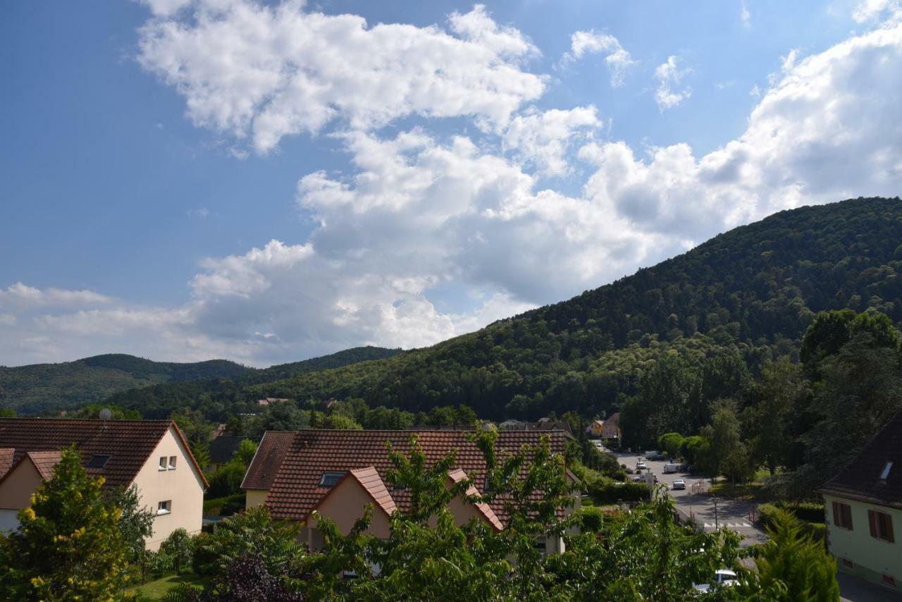 Le Cerisier Holiday home *