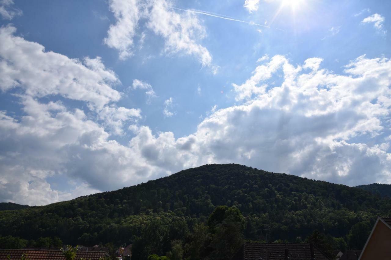 Le Cerisier Holiday home *